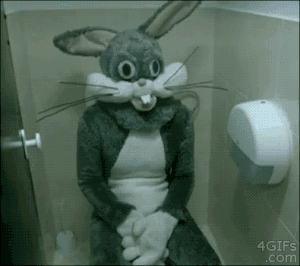 rabbit-toilet
